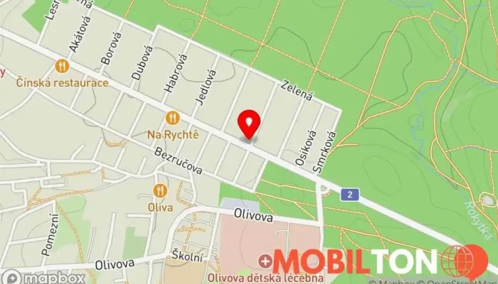 mapa Pizza Barino Pizzerie v Strašín