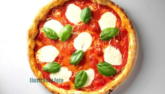 Pizza kebab Top - Hřebečská 272 01