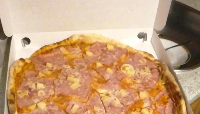 Pizza Kebab Top -  Restaurace - Hřebečská 272 01