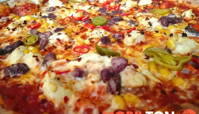 Pizza Shark -  Jidlo A Piti - Havlíčkova 15