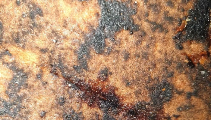 Pizzarna -    Lysa Nad Labem Hodnoceni - Poděbradova 114/1