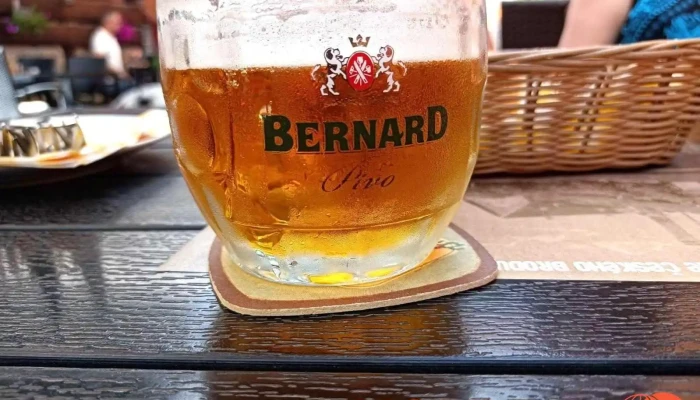 Pizzeria Malechov -  Pivo - Prokopa Velikého 112