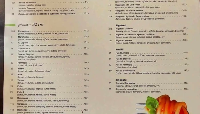 Pizzeria Matylda -  Menu - Masarykova 582
