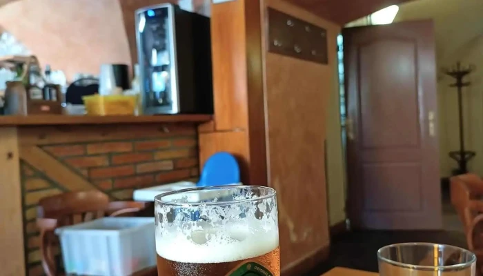 Pizzerie U Sneka Pohodare Pivo - Vladislavova 333/11