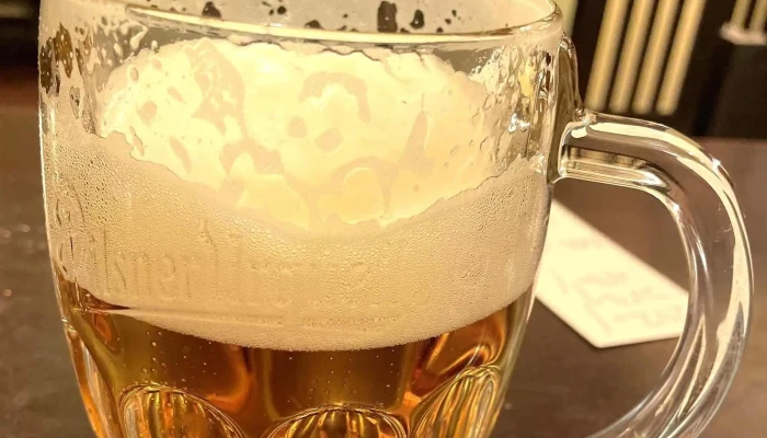 Plzenska Pivnice A Restaurace U Rudolfina Sro Ceny - Josefov