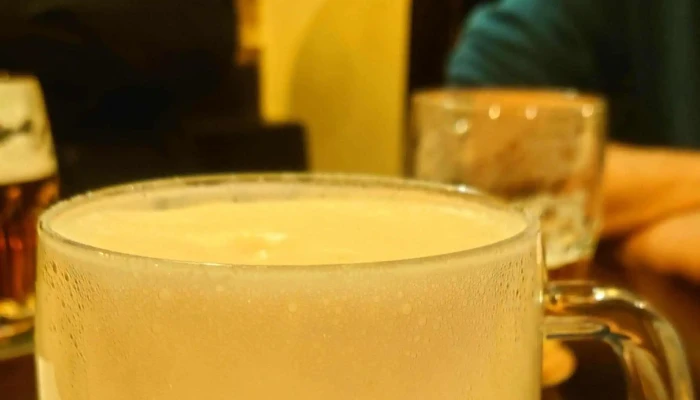 Plzenska Pivnice A Restaurace U Rudolfina Sro Hospoda - Josefov
