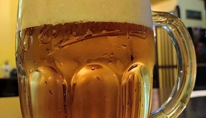 Plzenska Pivnice A Restaurace U Rudolfina Sro Prazdroj - Josefov