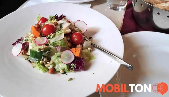Plzenska Pivnice A Restaurace U Rudolfina Sro Videa - Josefov