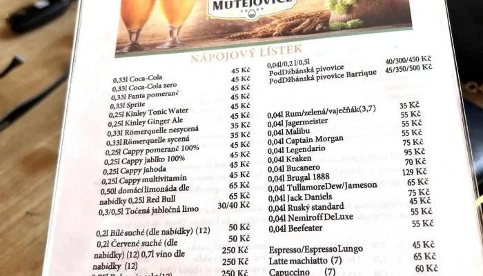 Poddzbansky Pivovarpenzion Menu - Velká Strana 2