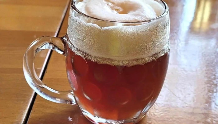 Poddzbansky Pivovarpenzion Pivo - Velká Strana 2