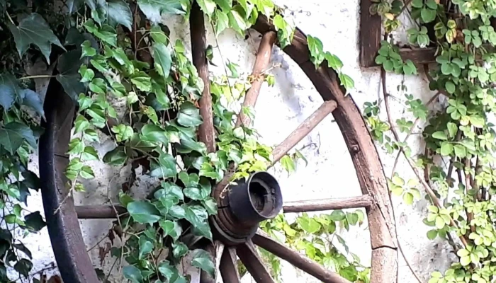 Restaurace -    Pizzerie U Broucka Suchdol čislo - Suchdol