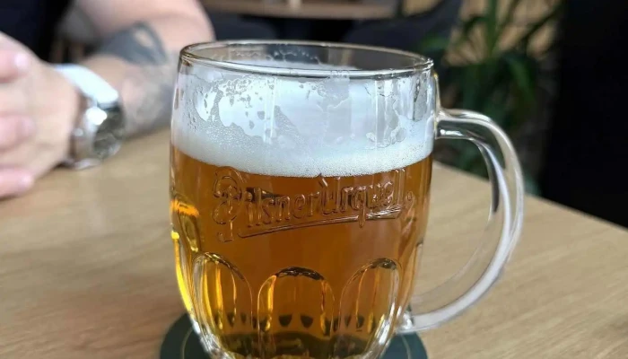 Restaurace All This Snemovna Nejnovejsi - Věkoše