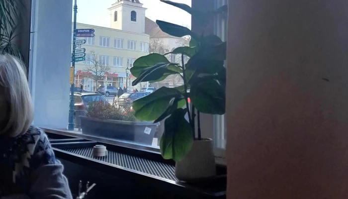 Restaurace Beroun Cesky Dvur Beroun Obedy Vecere Beroun Ceny - Centrum