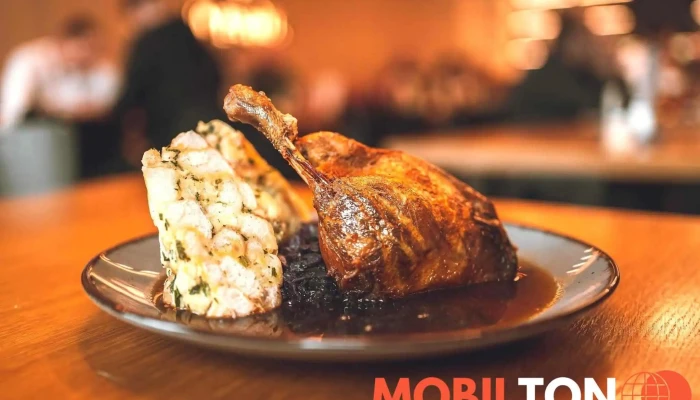 Restaurace Beroun Cesky Dvur Beroun Obedy Vecere Beroun Jidlo A Piti - Centrum
