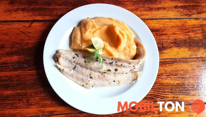 Restaurace Beseda Lovosice -  Nejnovejsi - Dlouhá 83/4