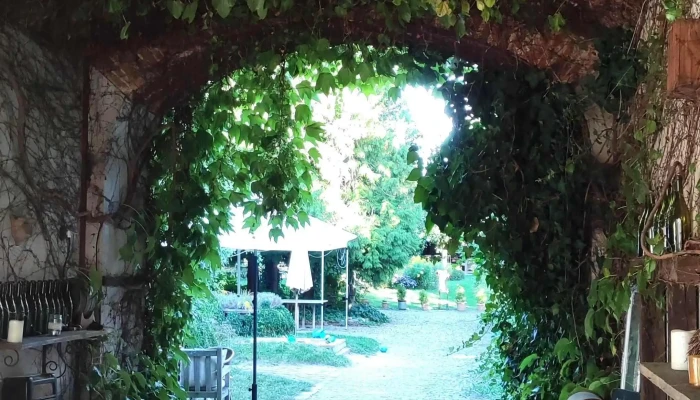 Restaurace Cajovna Blizko Mě - Široká 24/17