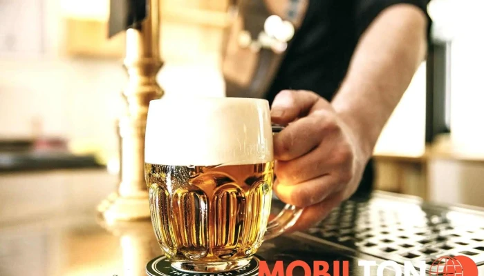 Restaurace Cerveny Jelen Prazdroj - Nové Město