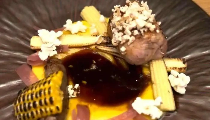 Restaurace Cerveny Jelen Videa - Nové Město