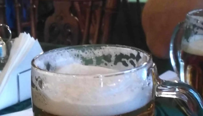 Restaurace Ceska Chalupa Hledam - U Hluboké Studny 133
