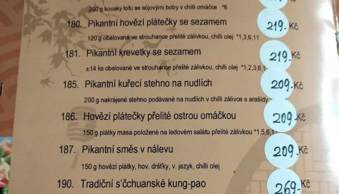 Restaurace Cinske Zatisi Cheng Du Jiu Jia Ceny - 10, Palackého 259