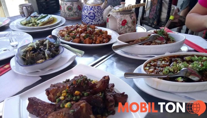 Restaurace Cinske Zatisi Cheng Du Jiu Jia Jidlo A Piti - 10, Palackého 259