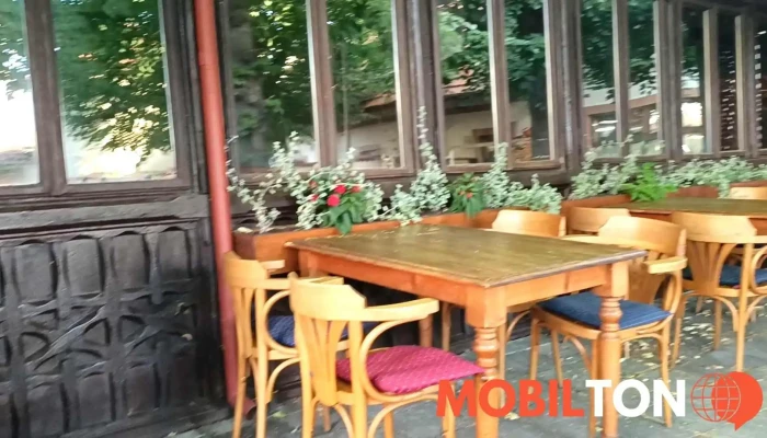 Restaurace Dacicky Videa - Rakova 8