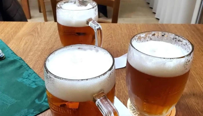 Restaurace Delnicky Dum Jidlo A Piti - V Lipkách 277