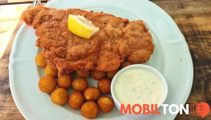 Restaurace Fajnklub Rizek - Kaštanová 292 Dolní Poustevna