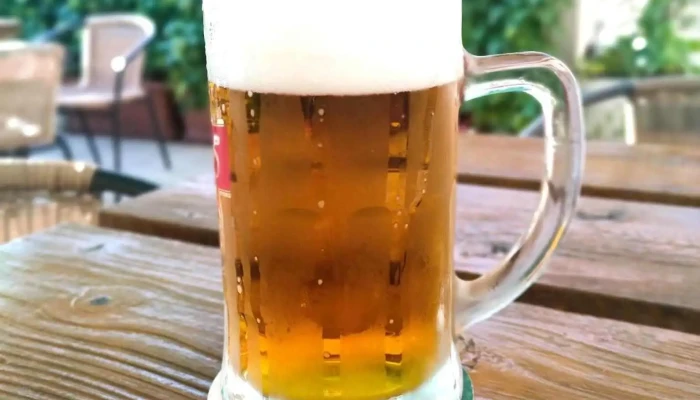 Restaurace Hong Kong -  Pivo - Palackého 104/2
