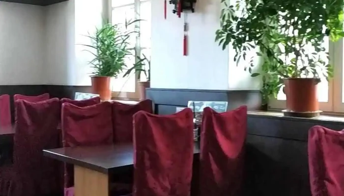 Restaurace Hong Kong -  Videa - Palackého 104/2