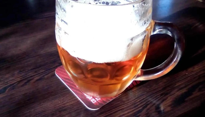 Restaurace Hotylek Praha Jidlo A Piti - Pražská 754