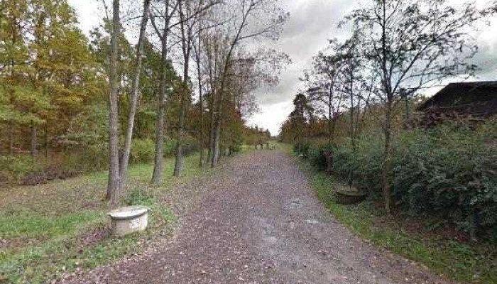 Restaurace Krmelec Vlaska Street View A 360deg - Na Vlašce 1947