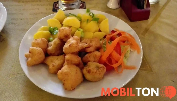 Restaurace Lobkowicz -  Jidlo A Piti - Na Vinici