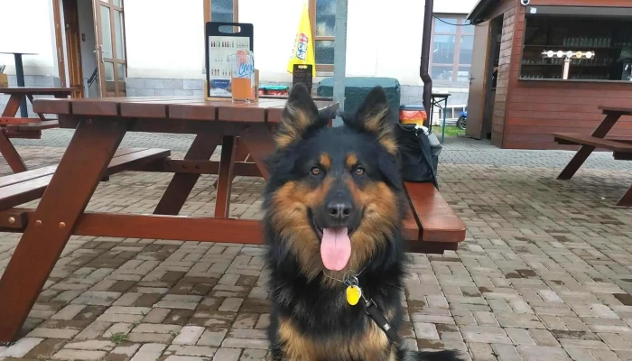 Restaurace Na Knizeci Instagram - Nám. Míru 23