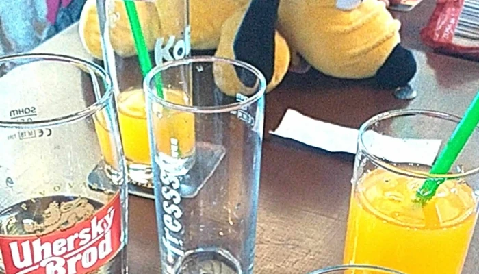 Restaurace Na Sokolovne Hospoda - Vlčnov