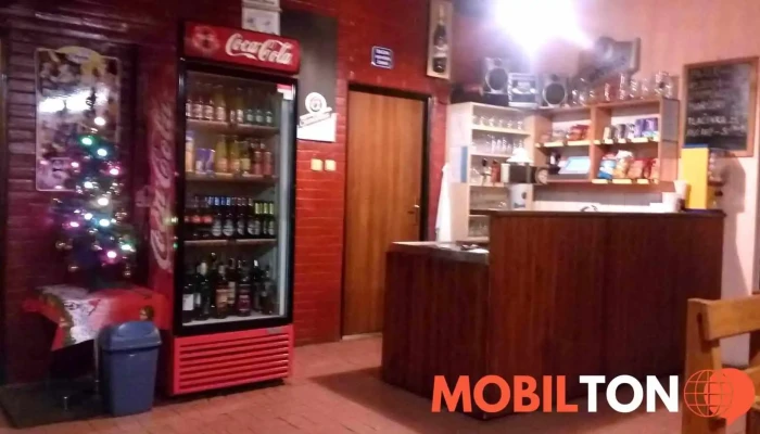 Restaurace Na Zamecke Vzhled A Atmosfera - Buková U Příbramě-jince
