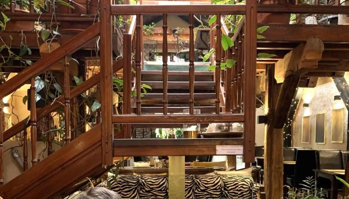 Restaurace Nika Atrium -  Hotel - Husova 1647/34