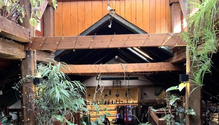 Restaurace Nika Atrium -  čislo - Husova 1647/34