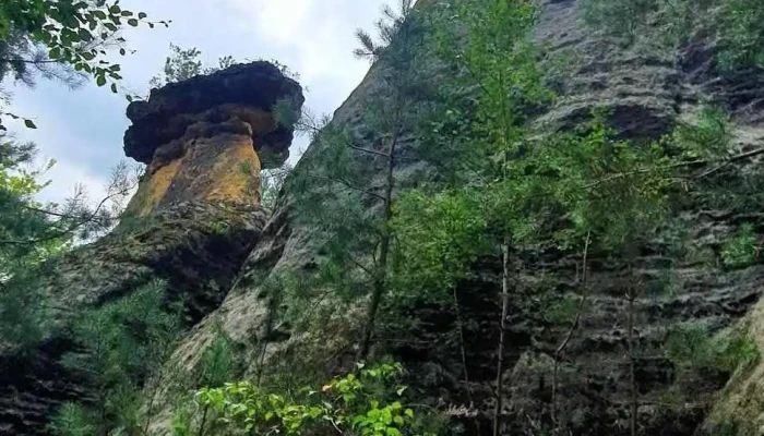Restaurace Penzion Hlucov Poklicky - Kokořínský Důl