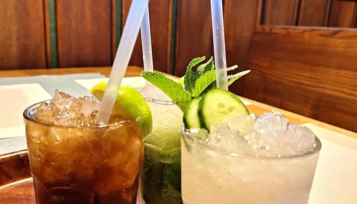 Restaurace Pivovarsky Dvur Chyne Sro Mojito - Chýně-hostivice