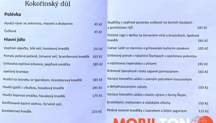 Restaurace Pobuda -  Menu - Kokořín