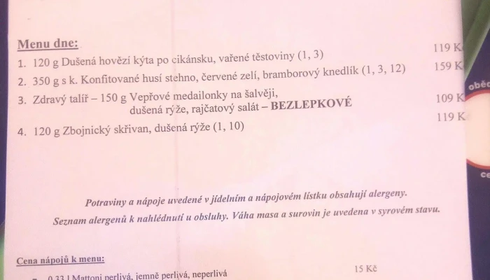 Restaurace Pod Starou Knihovnou -  Telefon - Kollárova 528/1