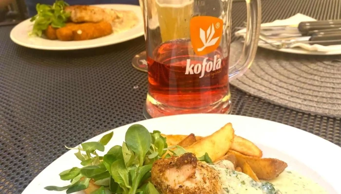 Restaurace Pod Starou Knihovnou -  Videa - Kollárova 528/1