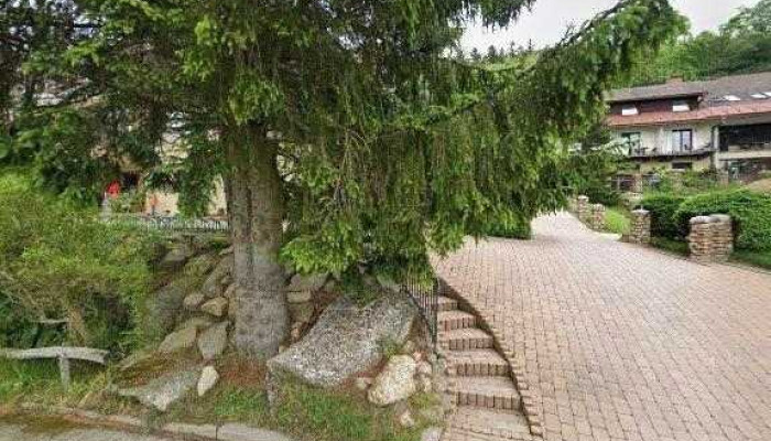 Restaurace Podlesi Street View A 360deg - Sněžné-svratka
