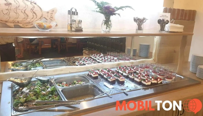 Restaurace Podlesi Vzhled A Atmosfera - Sněžné-svratka