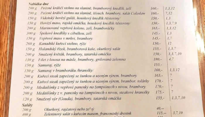 Restaurace Pohoda Louny -  Menu - Rybalkova 2978
