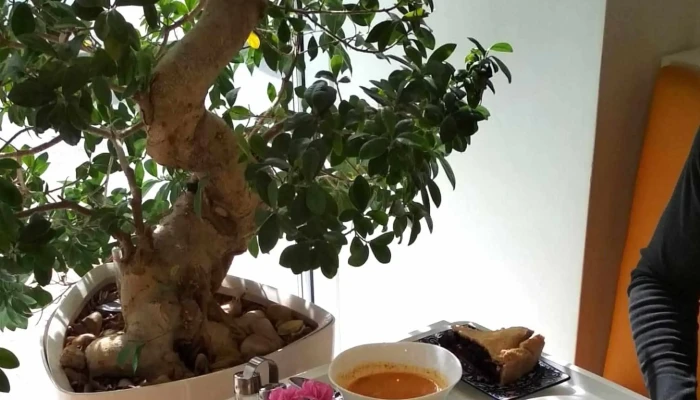 Restaurace Pranaya -  Vegetarianska Restaurace - Bartošova 40/3