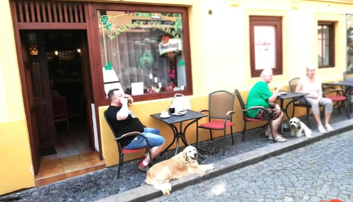 Restaurace Robo Vse - Město
