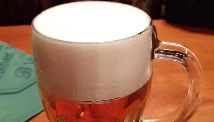Restaurace Rozatov Prazdroj - Ptácká 231/137