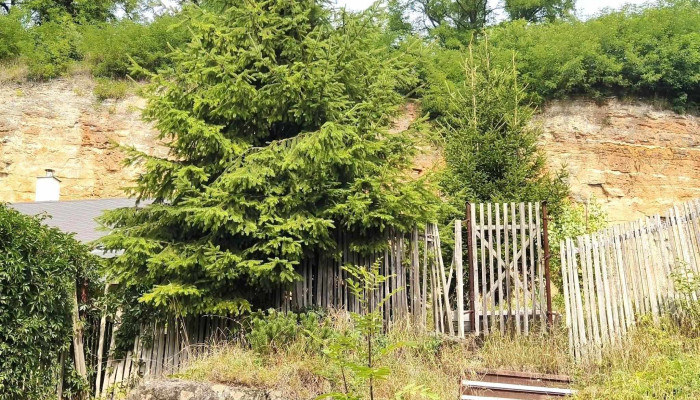 Restaurace Rozatov Webova Stranka - Ptácká 231/137
